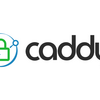 CloudflareのAPIに対応したカスタム版CaddyでLet’s Encryptのワイルドカード証明書を自動で取得する