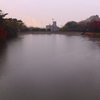 ヤカン池（愛知県東海）