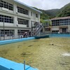 サメの泳ぐプール〜むろと廃校水族館