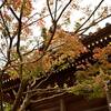 永明寺の紅葉