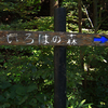 高尾山をいろはの森コースでハイキング