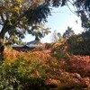 紅葉ランでリフレッシュ