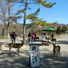 きのこ猪鍋を食べに奈良吉野へ