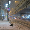 2024.2.5：雨の京都から雪の笹塚へ