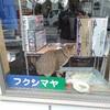 とある模型店