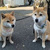 そもそもの在り方