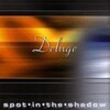 spot in the shadow-DELUGE(CD)