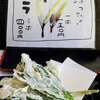 今が旬のアイヌネギ（ギョウジャニンニク）の天ぷら＜北海道産山菜グルメ＞