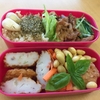 （少し高級）さつま揚げ弁当