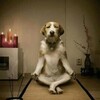 新年のご挨拶❗、、、