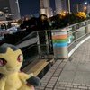 【ポケモンORAS】みなとみらいで雨滅びオフ2オフレポ