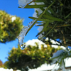 青い空、白い雪。