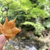 2019/07/12 箕面公園