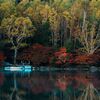 紅葉が見頃を迎えた白駒池｜神秘的な苔の森を巡るカメラ旅 with SONY ZV-E1
