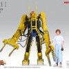 A-LABELのNILES発レヴィ カウガールver.など投入