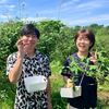 しほろっち夏祭り ～後編～