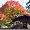 二ノ瀬駅の紅葉。秘境駅を彩っています。