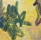 77回行動展に向けて03