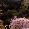模試の結果は引きずらないようにしましょうね。