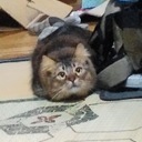 投資と企業分析