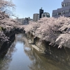 一日一歩、ゆっくり歩くこと。