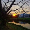 元荒川夕景