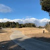 【キャンプ】表浜ほうべの森キャンプ場