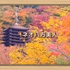 ネオ八方美人