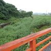 本日、河川清掃の日！