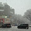 東京雪景色