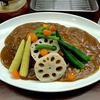 日乃屋（文京区湯島）の５種の野菜カレー