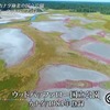 九州がすっぽり入る広さ！カナダの極北にあるウッドバッファロー国立公園