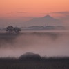 2022-12-10  栃木県渡良瀬遊水地朝の風景