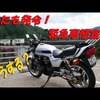 この動画は2週間前のものです。