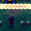 ２５４日目～その２～キンカク宅に行ってみたよ～騎士の格好して大砲ぶっ放してきたよ(o^∇^o)ノ