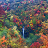 那須は紅葉がきれいです！