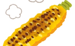 記事を見る