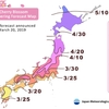 どうして日本人はそんなに桜が好きなのか？　Why do Japanese like Sakura so much?