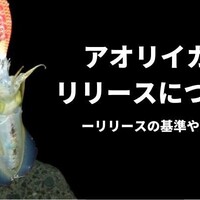 エギングのやり方 初心者の為にタックルやコツをまとめて紹介 イカ釣り 釣りの人 エギングのやり方 初心者の為にタックルやコツをまとめて紹介 イカ釣り 釣りの人