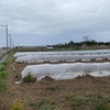 福井県が恒常的に悪質な勧誘をしていたようだ