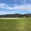 今朝は秋晴れの爽やかな天気☀️