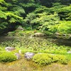 【京都】【御朱印】『南禅院』に行ってきました。 京都観光 そうだ京都行こう 
