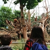 ハンブルクの動物園『Tierpark Hagenbeck』【ドイツ】