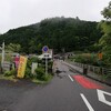 振草も梅雨入り☔