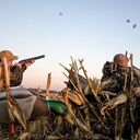 duckhunting’s diary