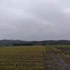 スタートは雨。