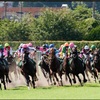 8.14  札幌競馬　注目馬