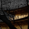 京都・物見遊山