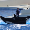 母の誕生日に温泉旅3