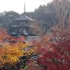 【奈良】當麻寺奥院　秘仏・秘宝特別開帳